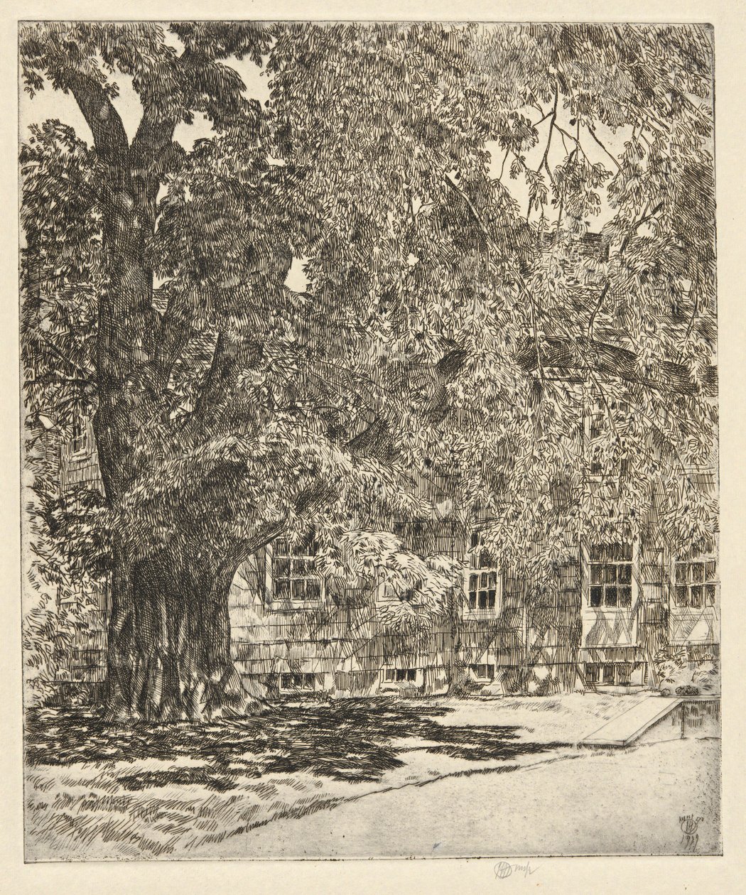 大榆树，1929 年 作者 柴尔德哈桑