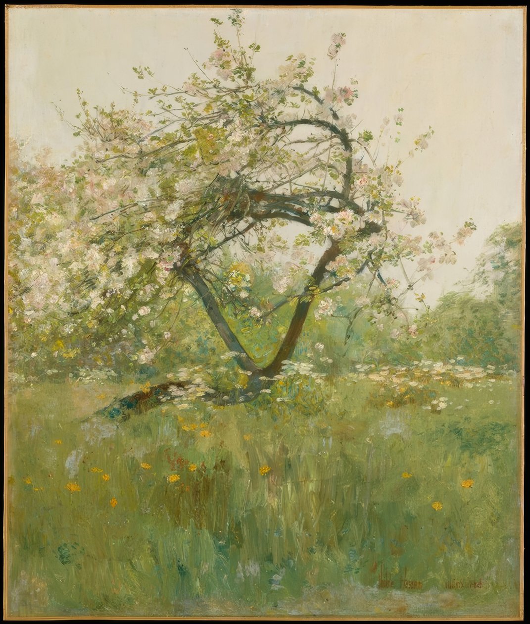 桃花— Villiers-le-Bel 作者 柴尔德哈桑