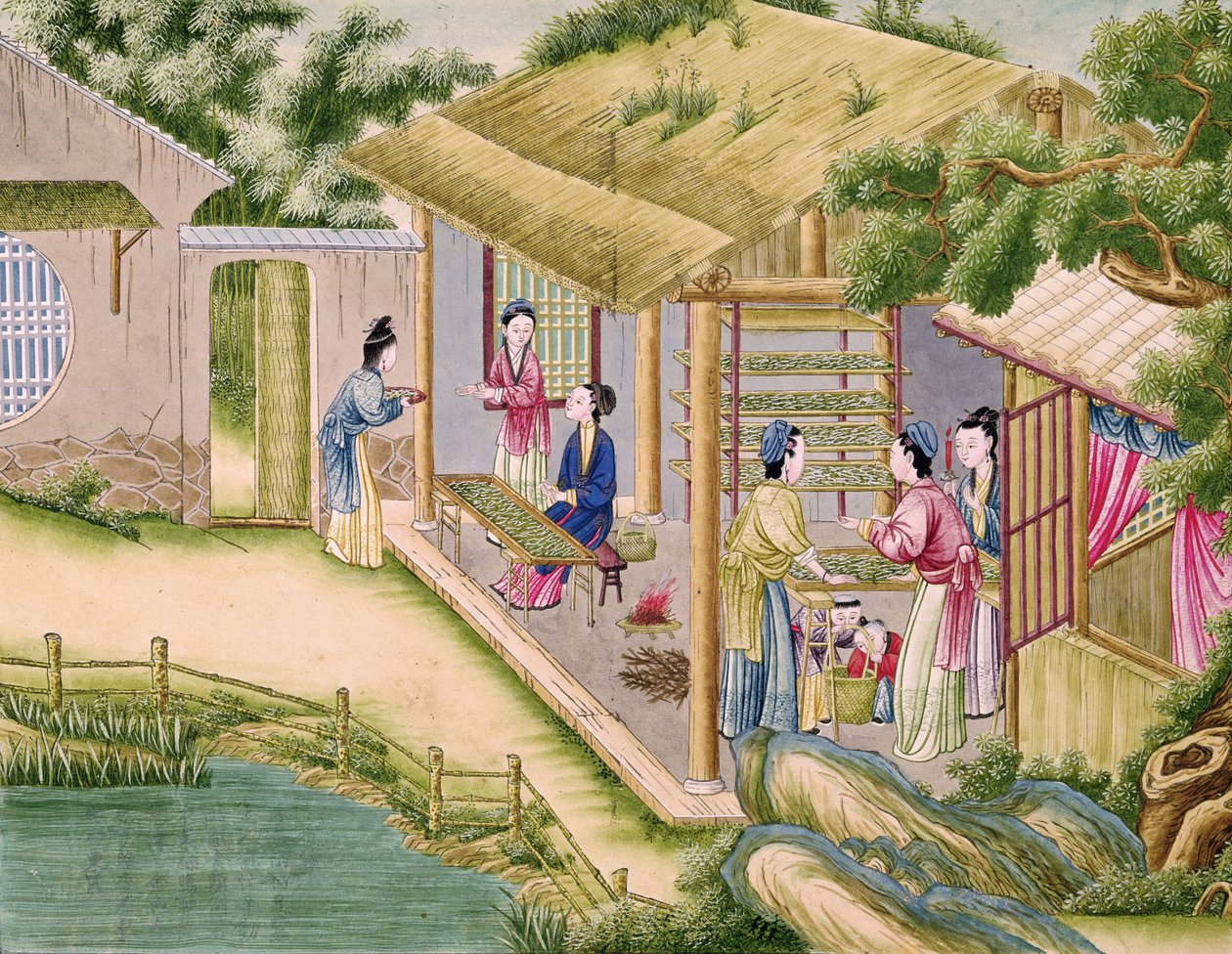 女士202 fol.2从一本关于丝绸业的书中了解蚕 作者 中文学校