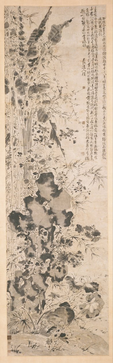 十六朵花 作者 中文徐炜