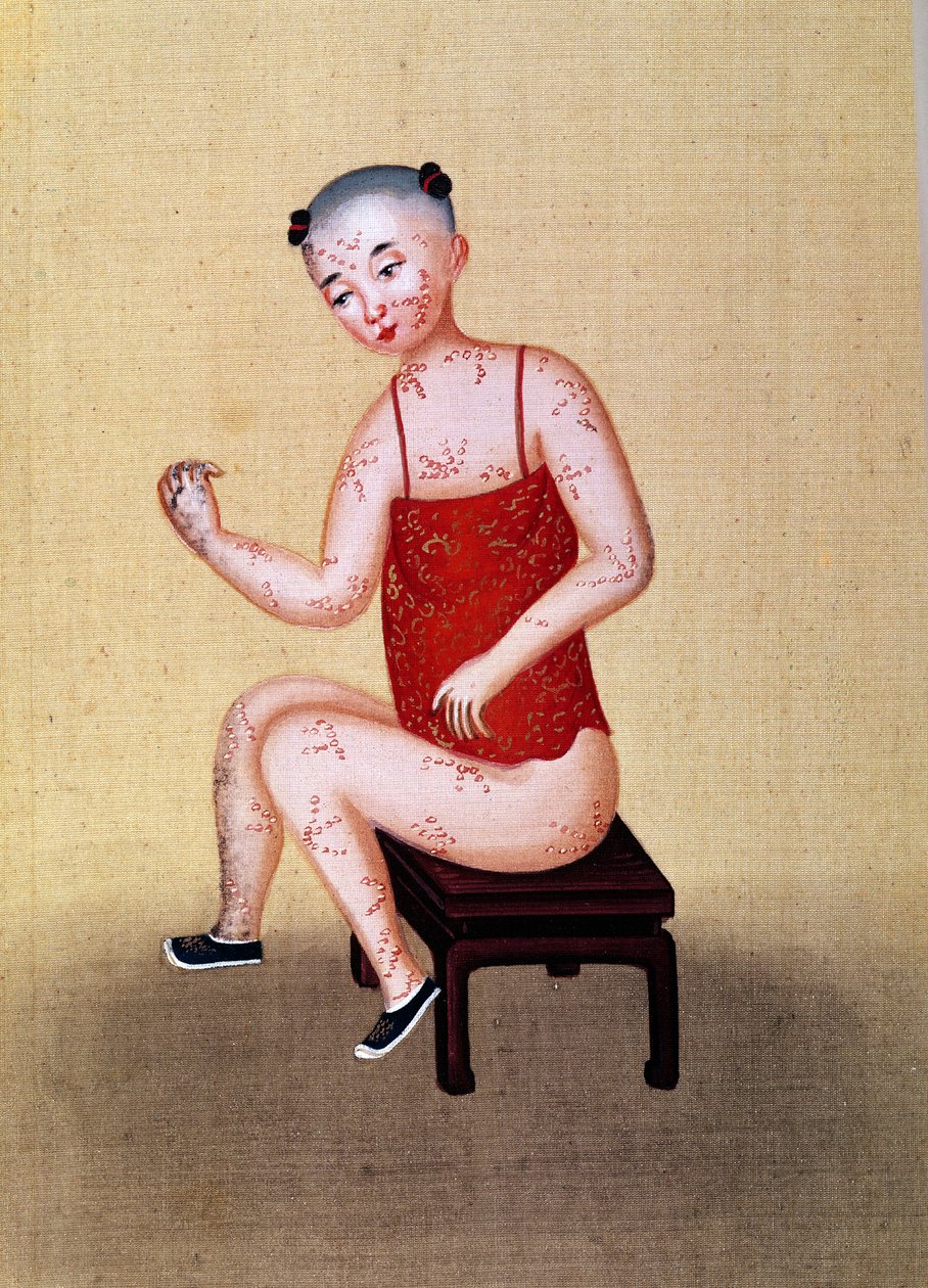 天花儿（纸上wc） 作者 中文学校