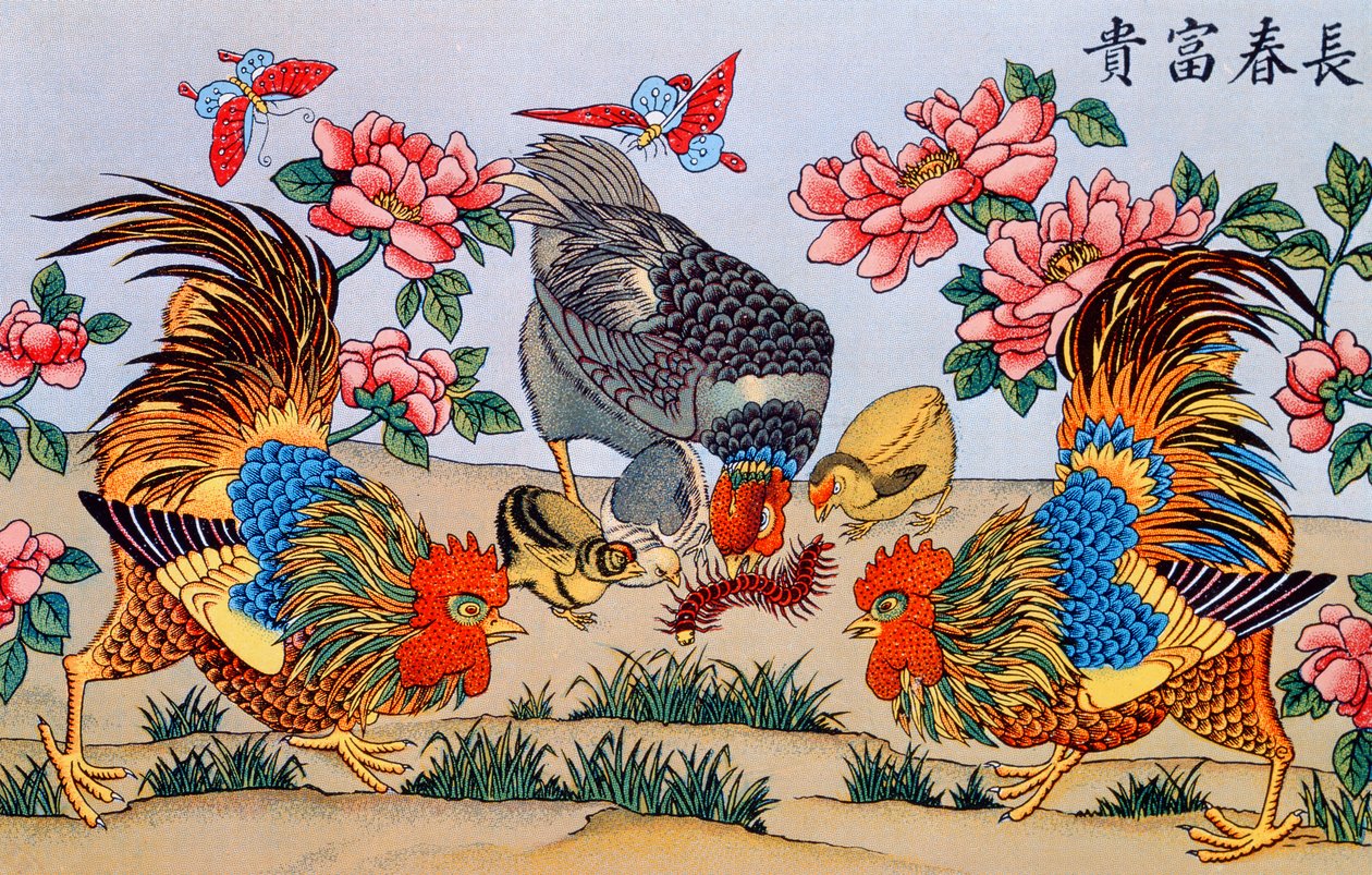 公鸡杀害千足虫，中国迷信研究的插图，由天主教会的Imrimerie在上海出版，1929年 作者 中文学校