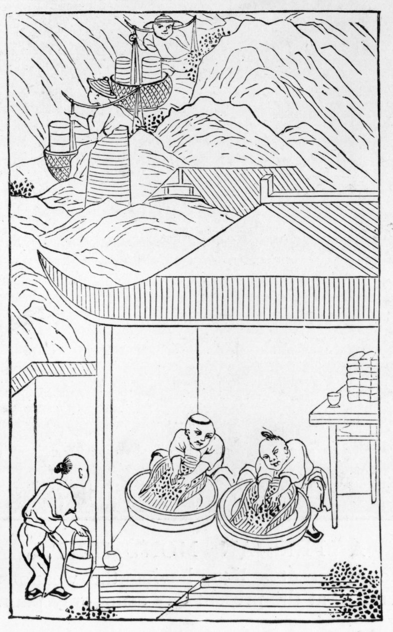 从中国制造的一系列插图中收集和清洗蓝色珐琅着色（全系列见384116和384117） 作者 中文学校