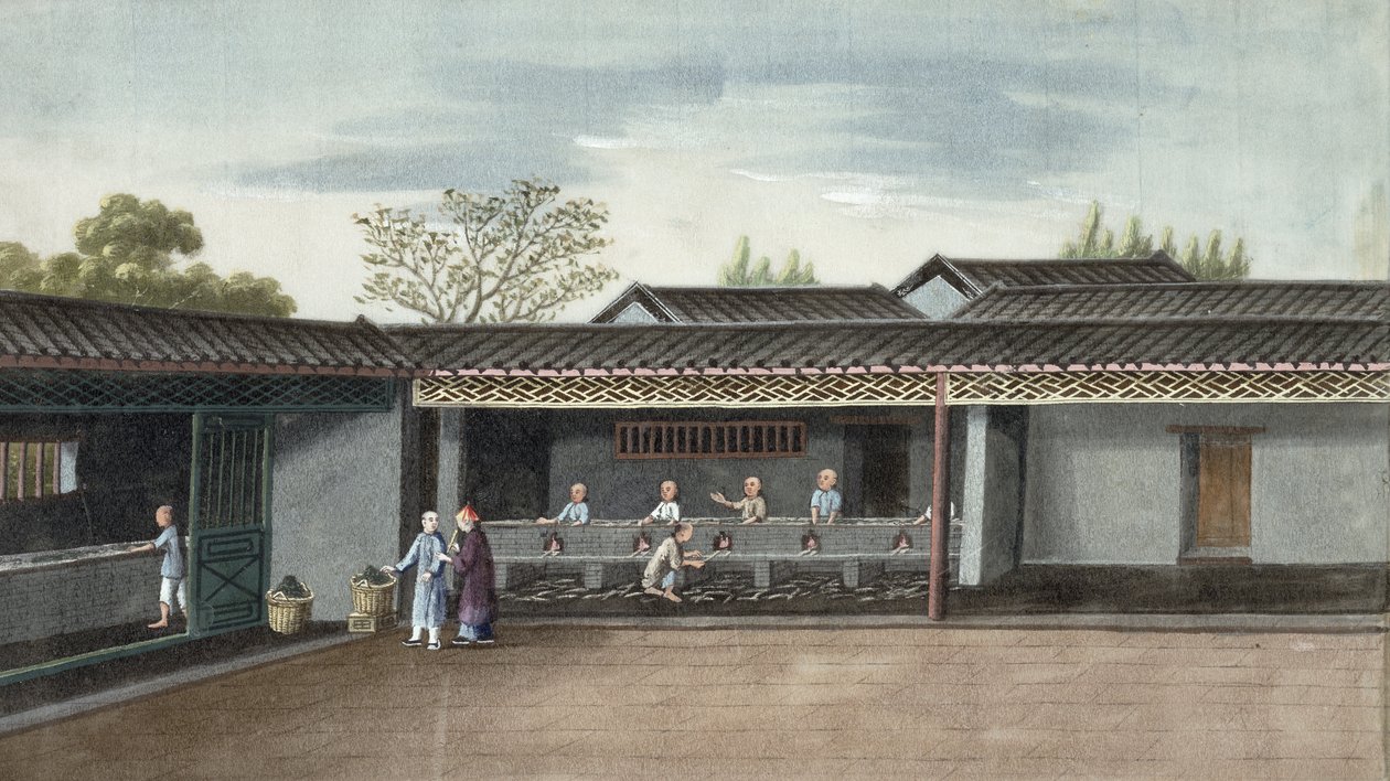 干茶叶（纸上wc） 作者 中文学校