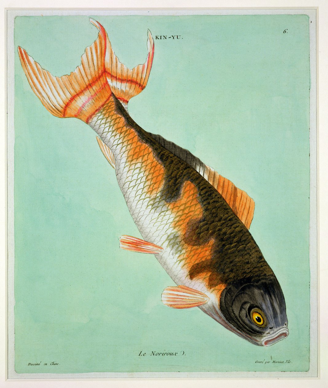 Le Noriroux，由Francois Nicholas Martinet雕刻（1731-p.1796）（印刷品） 作者 中文学校