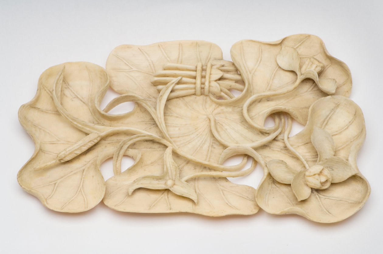 莲花刷休息 作者 中文学校