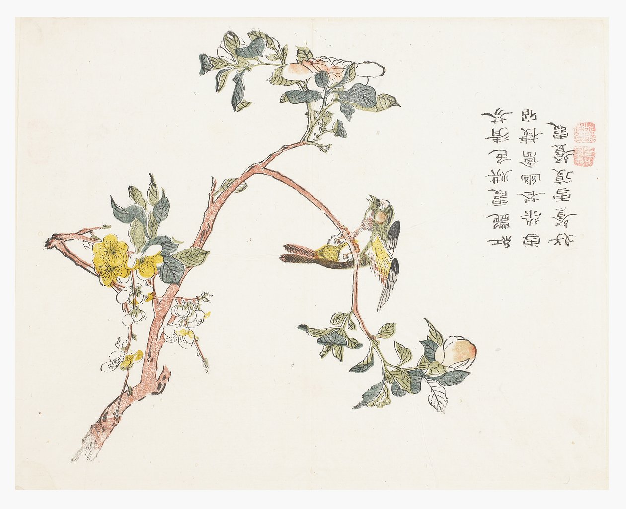 芥菜园 作者 中文学校