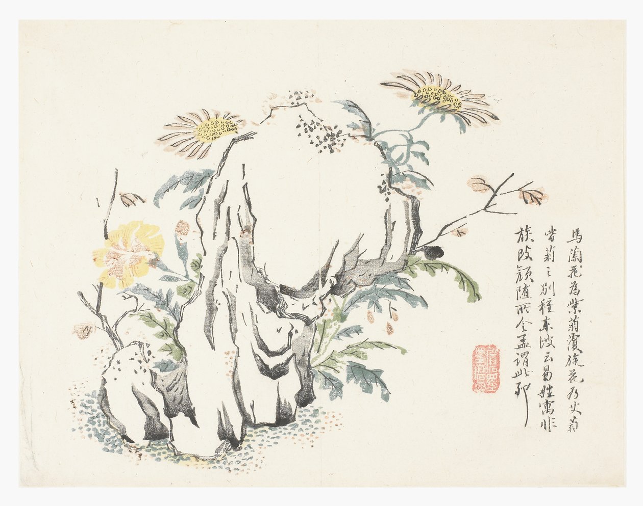 芥菜园 作者 中文学校