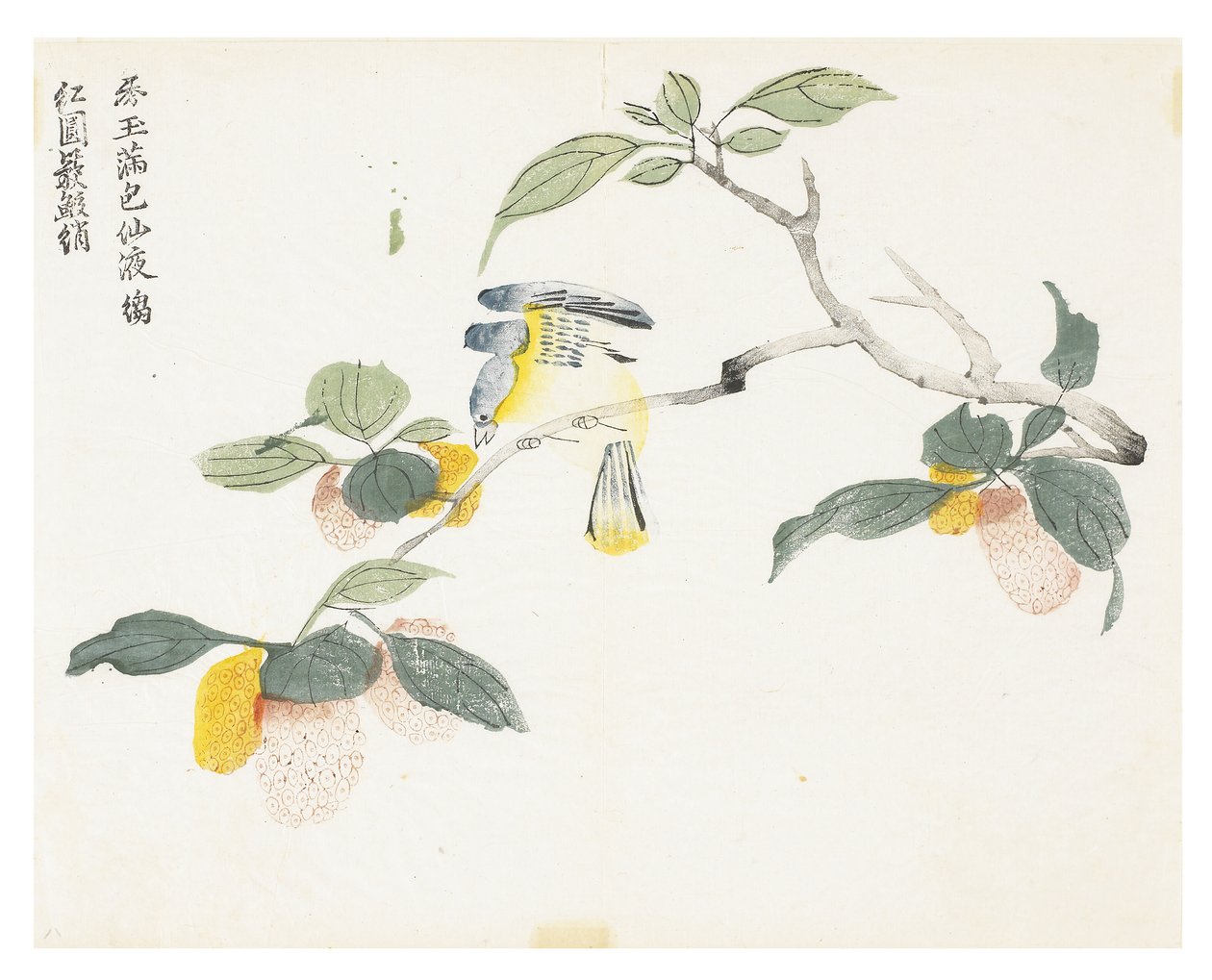 芥菜园 作者 中文学校