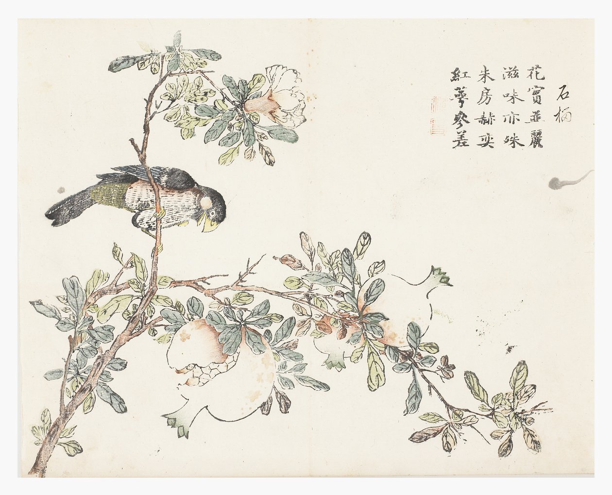 芥菜籽园 作者 中文学校