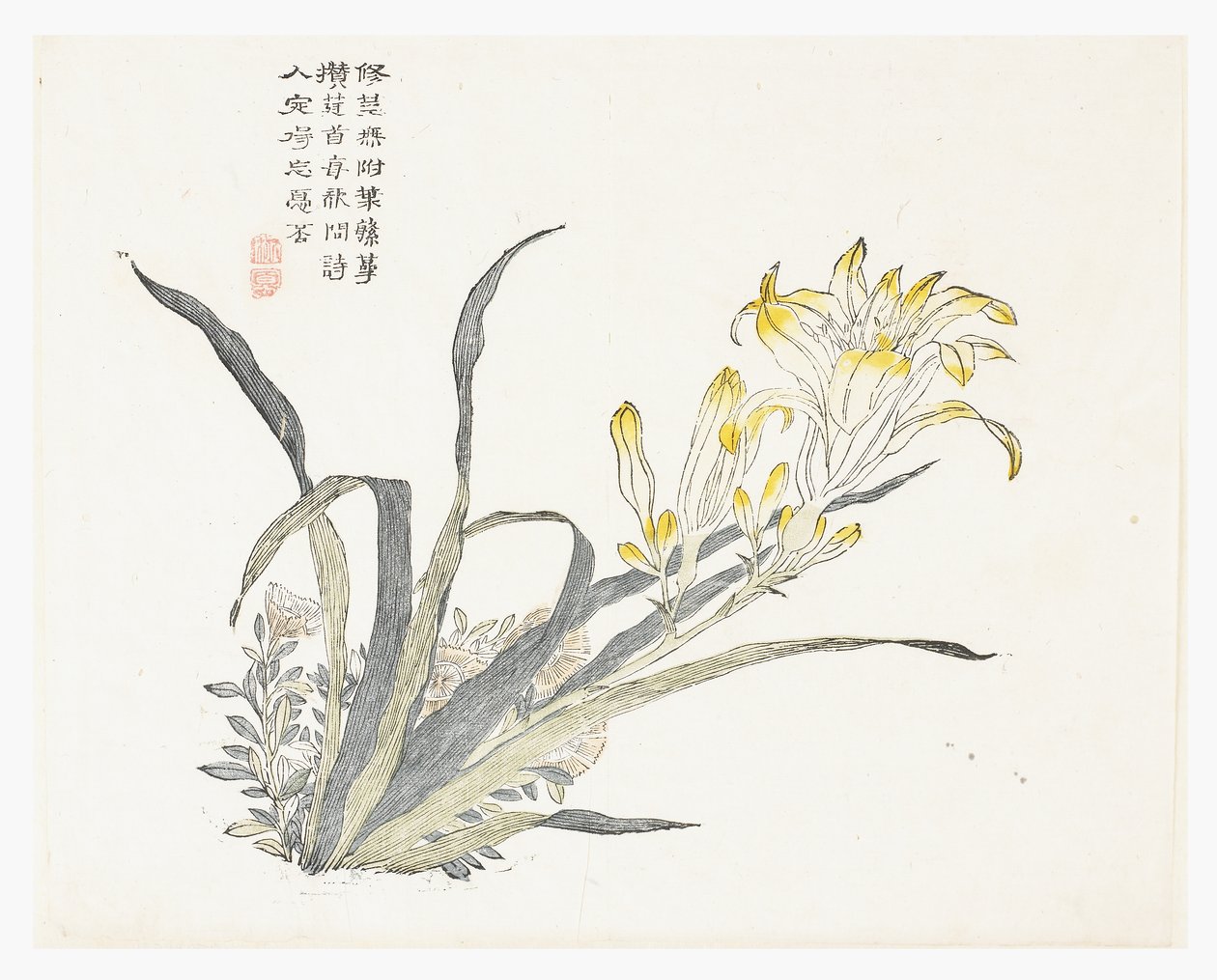 芥菜籽园 作者 中文学校
