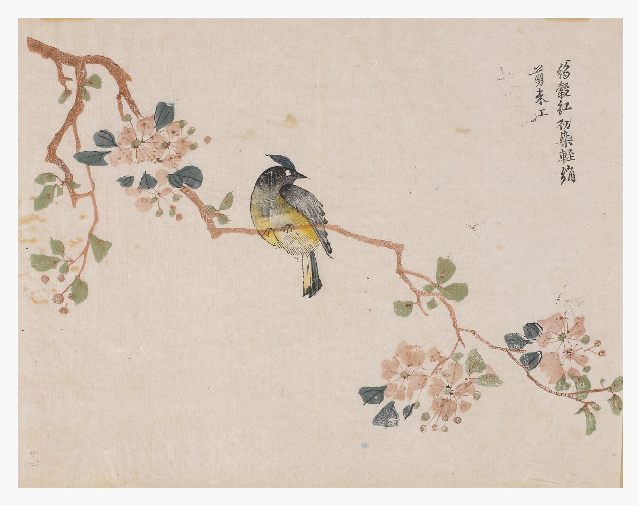 芥菜籽园 作者 中文学校