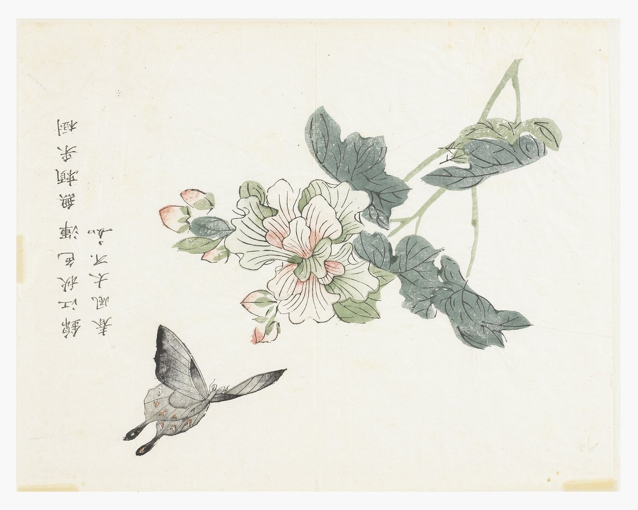 芥菜园 作者 中文学校
