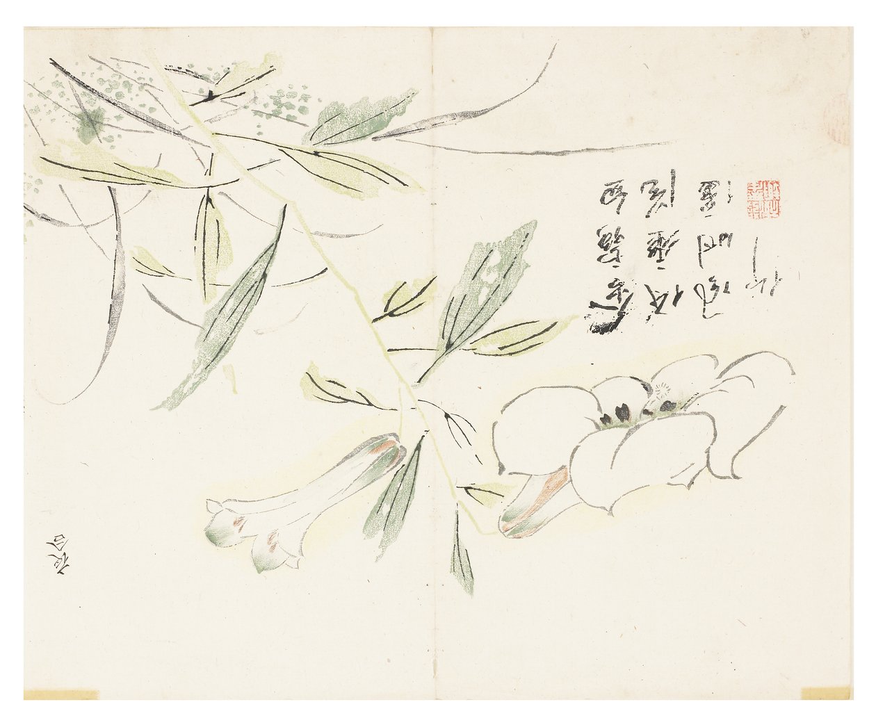 芥菜园 作者 中文学校