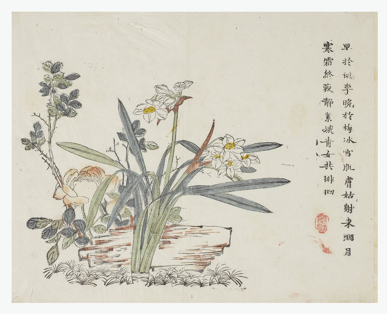 芥菜园 作者 中文学校