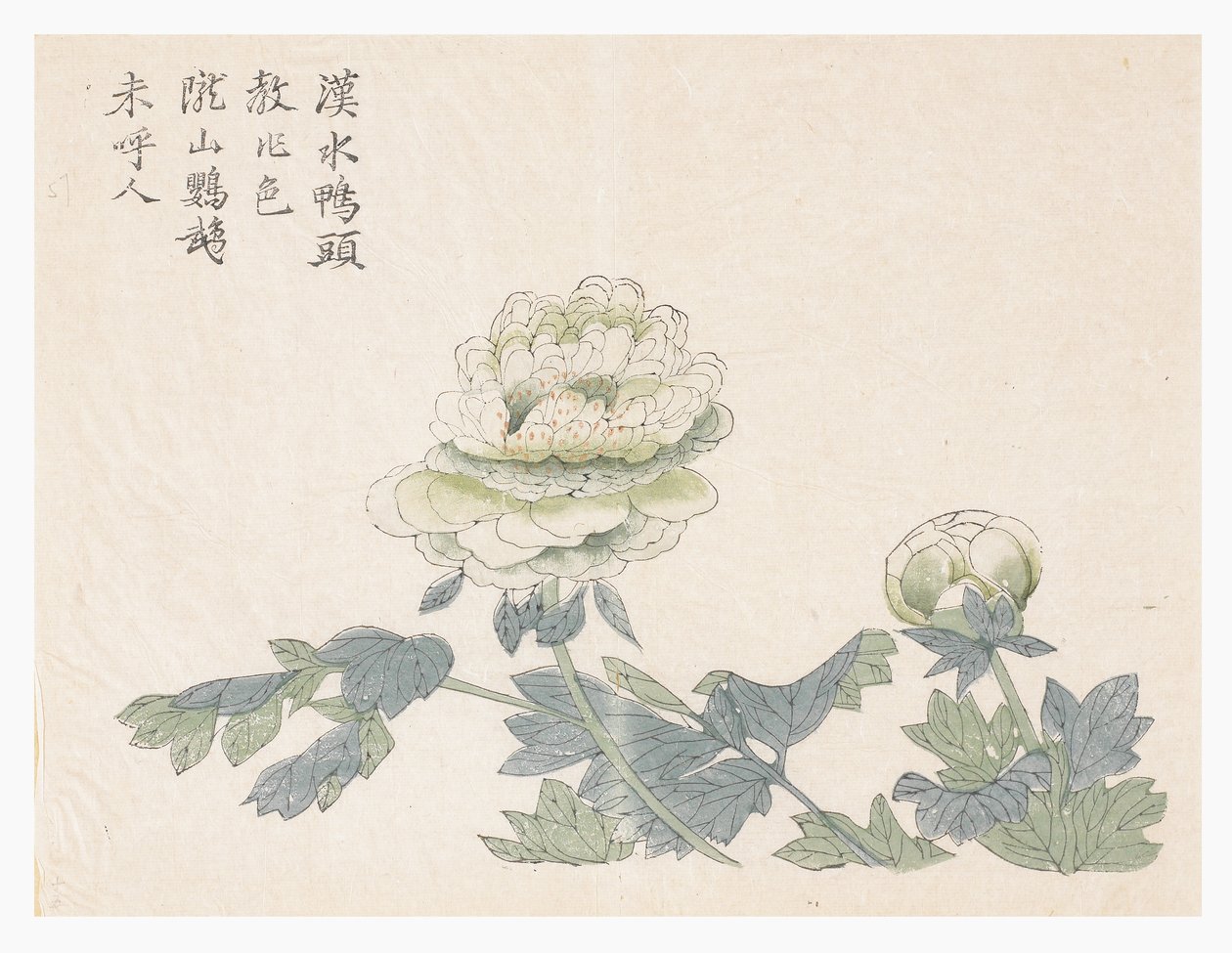 Mustard Seed Garden 作者 中文学校