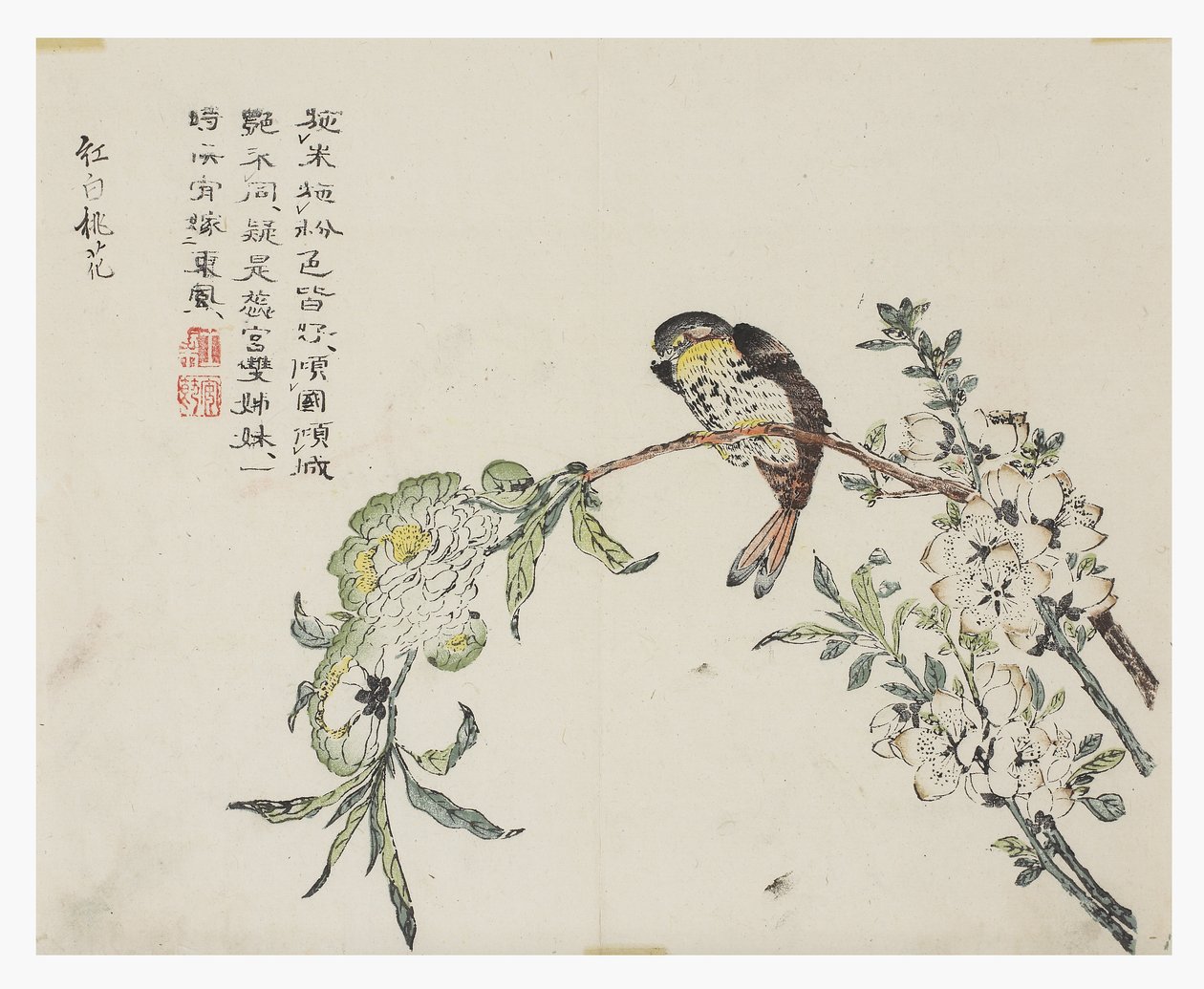 芥菜园 作者 中文学校