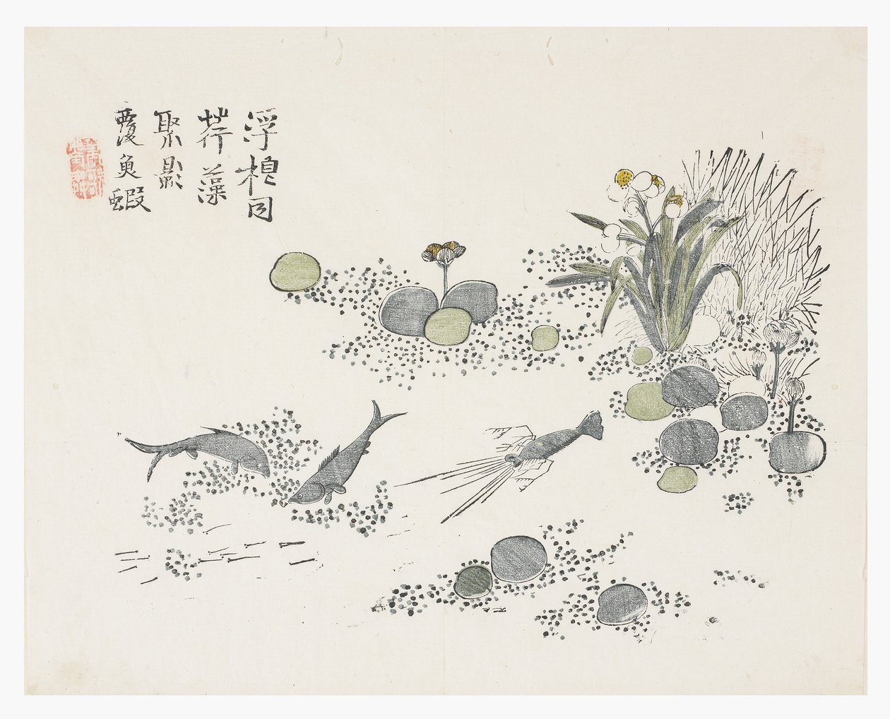 芥菜园 作者 中文学校