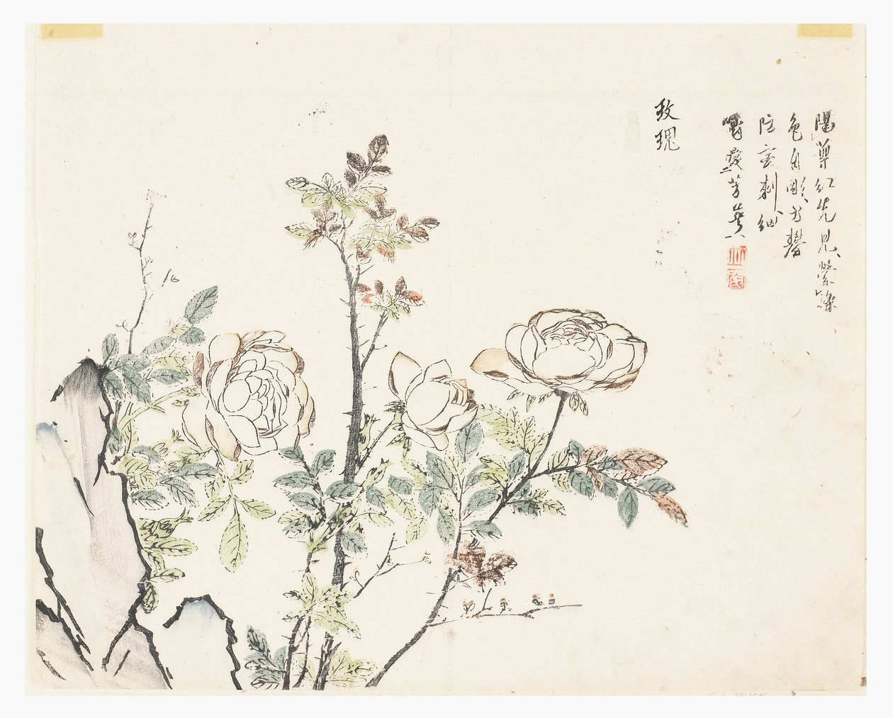 芥菜园 作者 中文学校