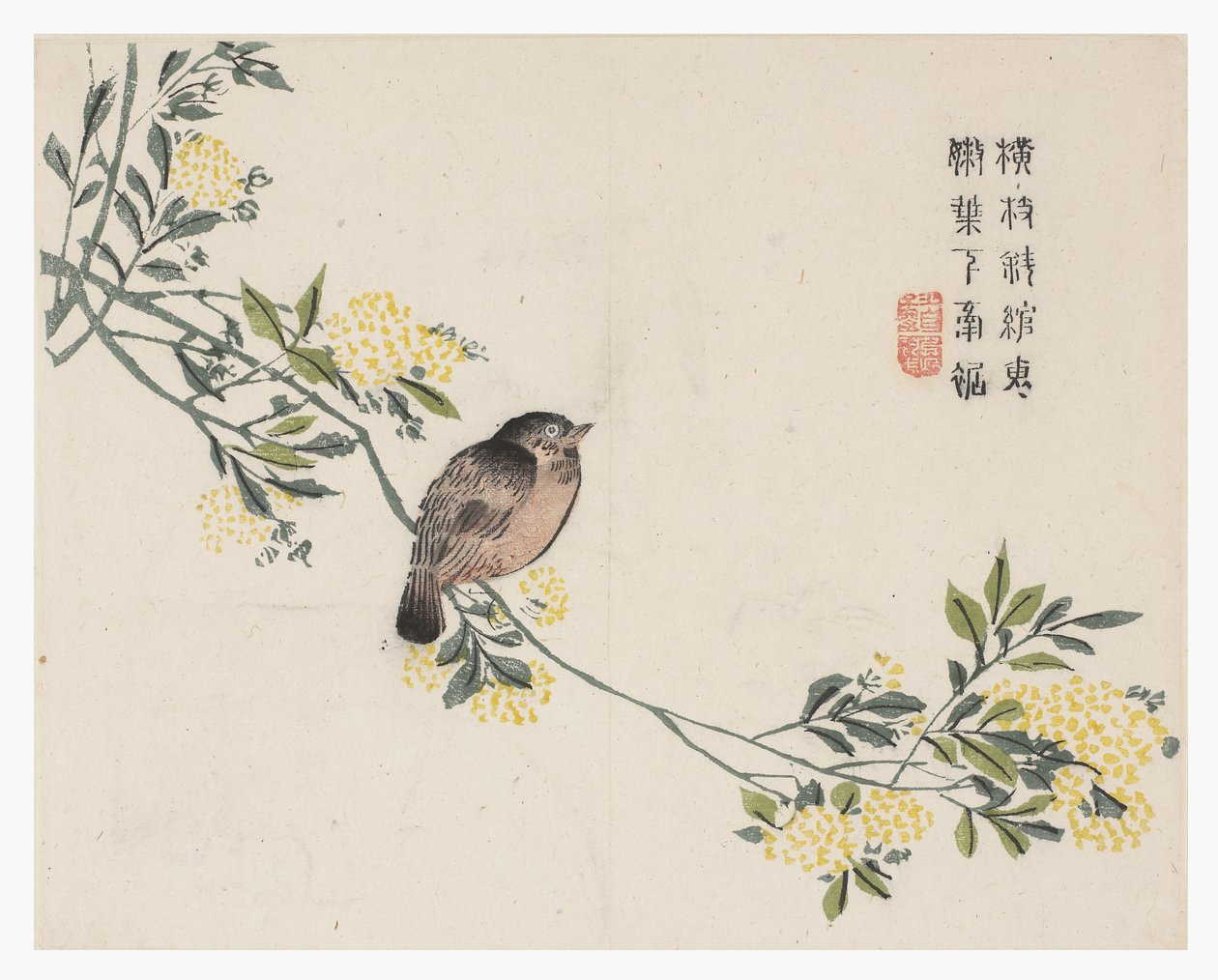芥菜园 作者 中文学校