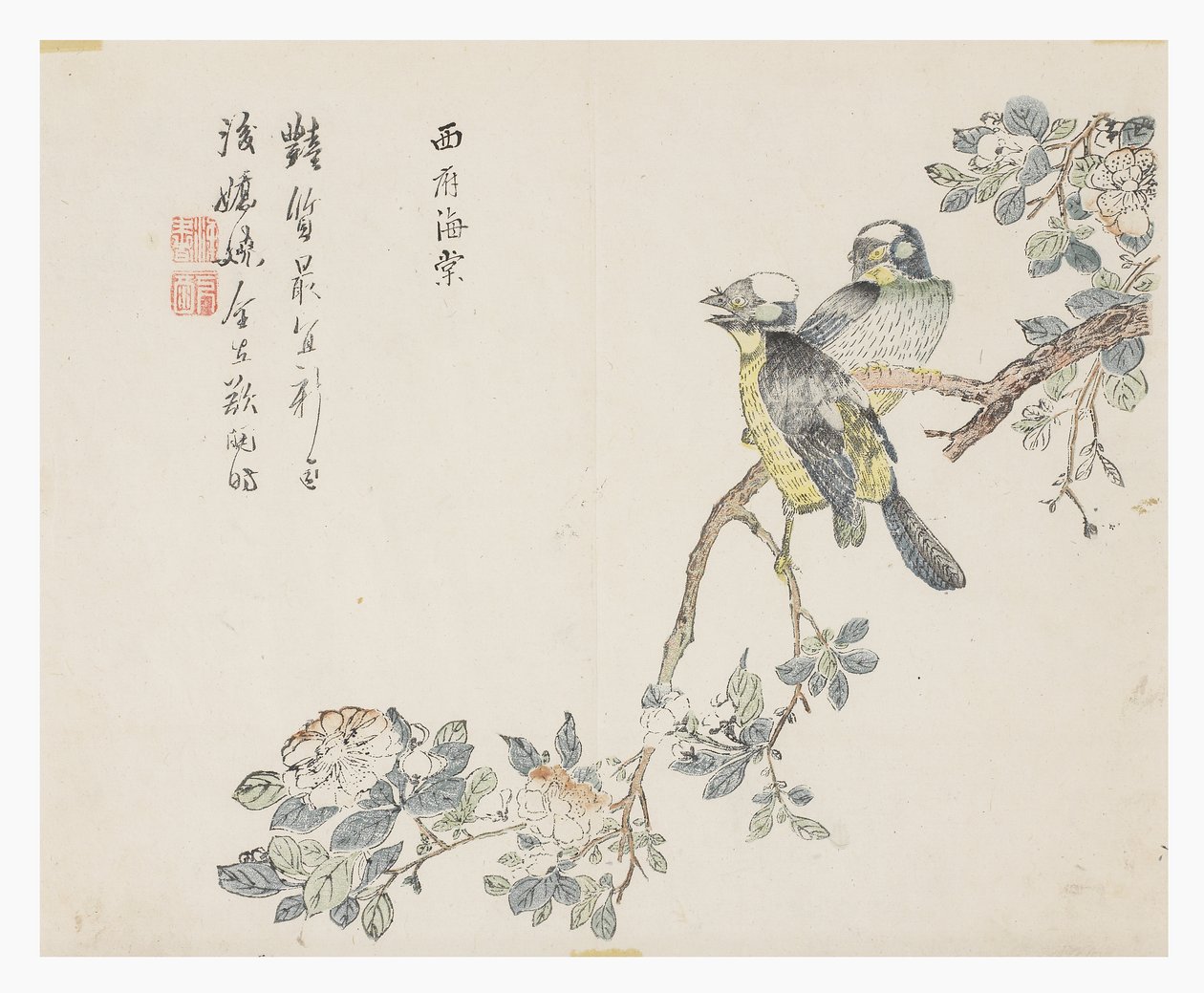 芥菜园 作者 中文学校
