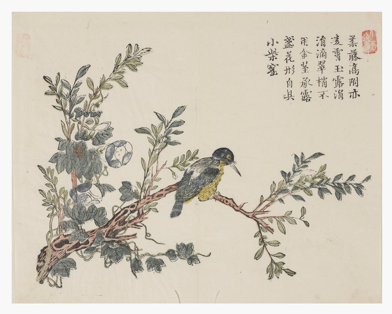 芥菜园 作者 中文学校