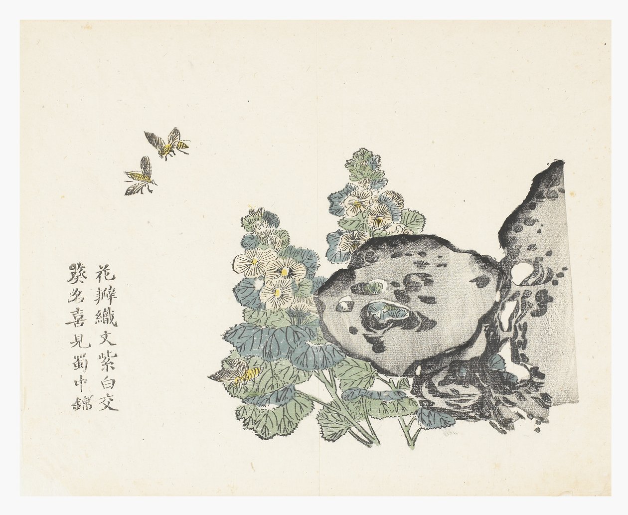芥菜园 作者 中文学校