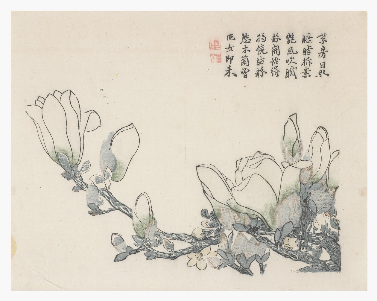 芥菜园 作者 中文学校