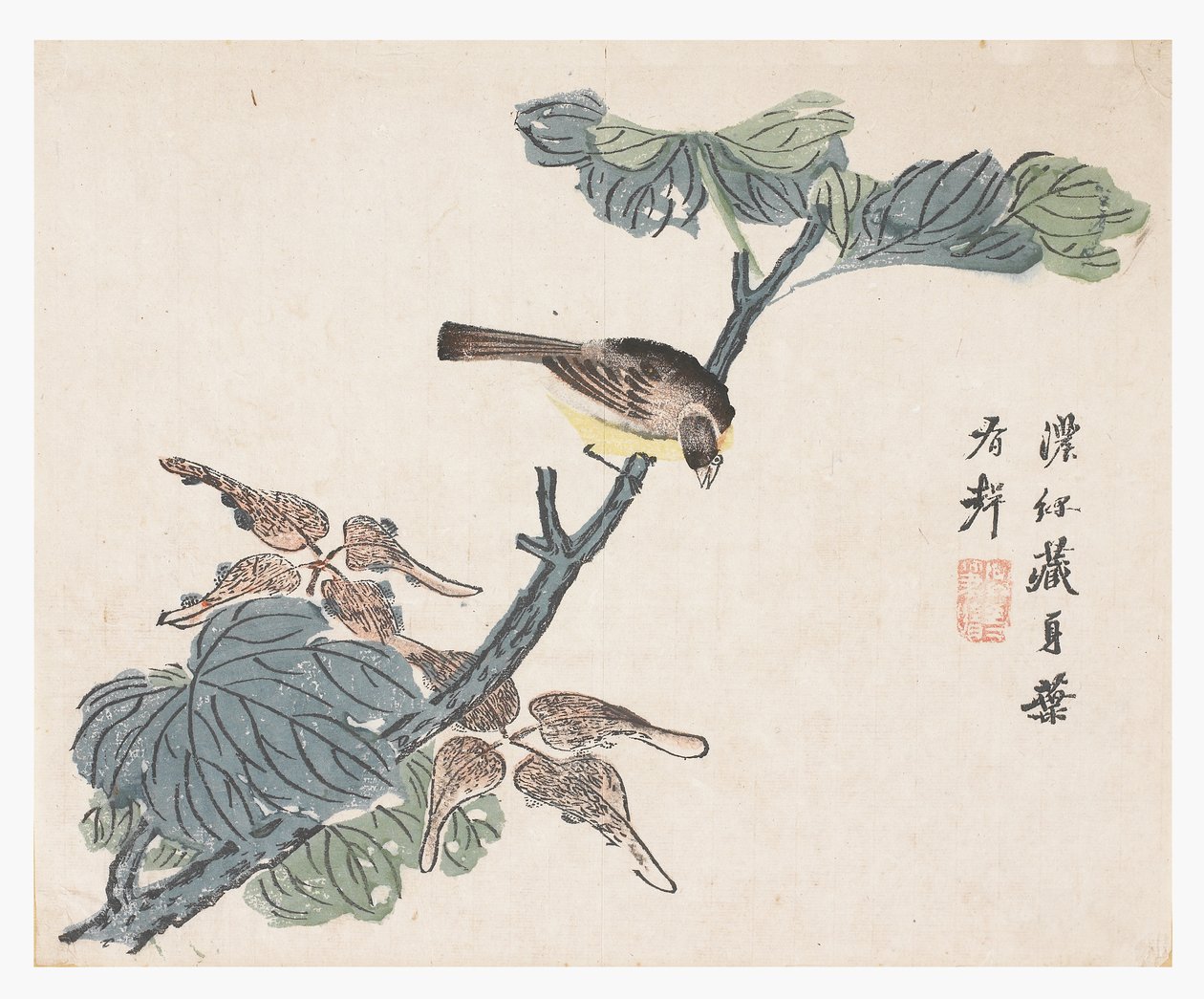 芥菜园 作者 中文学校