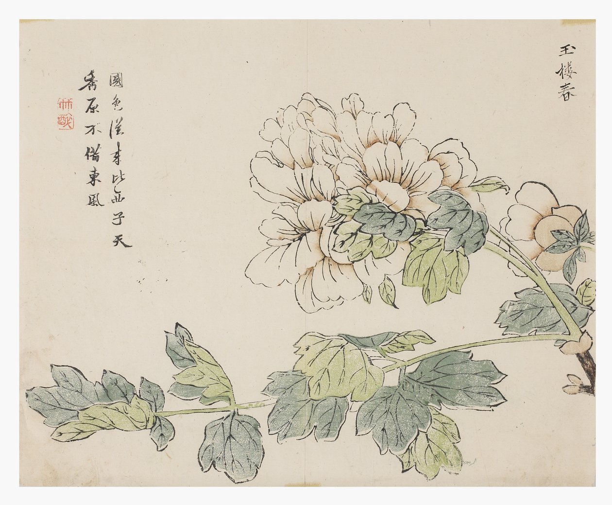 芥菜园 作者 中文学校