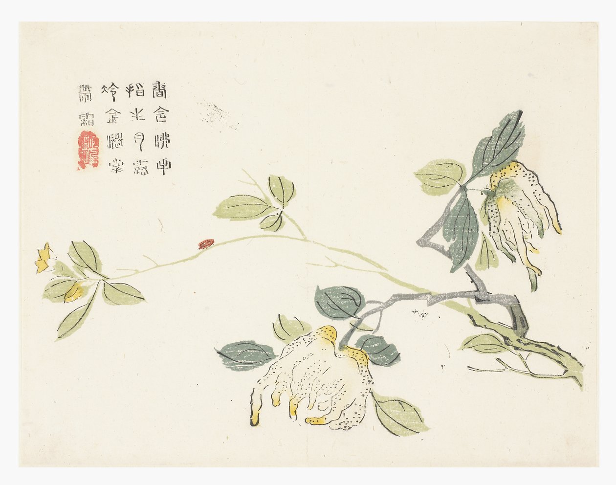 芥菜籽园 作者 中文学校