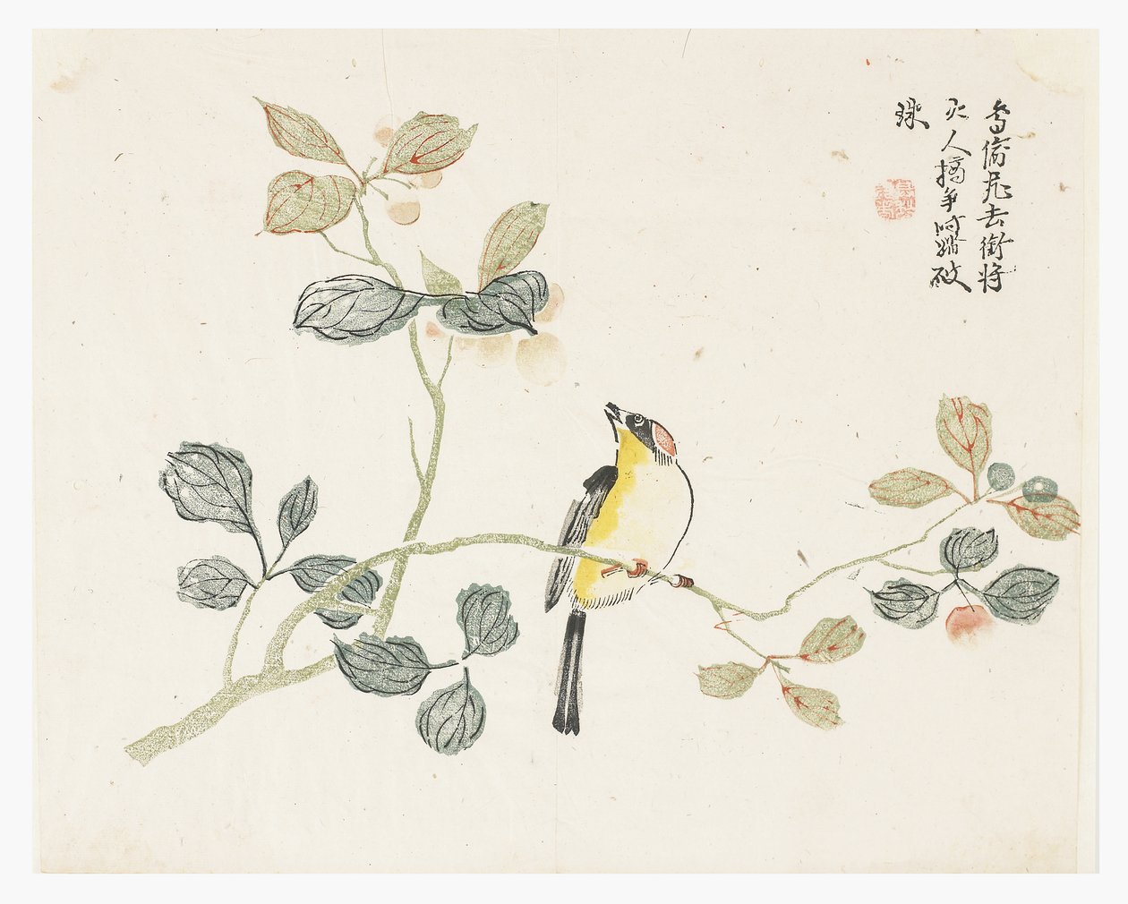 芥菜园 作者 中文学校