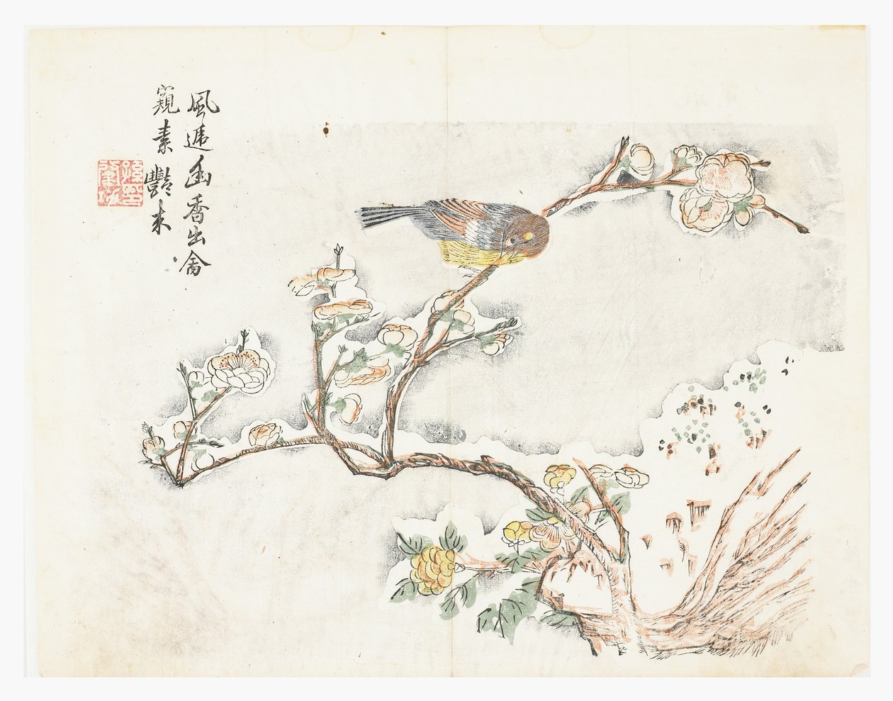 芥菜园 作者 中文学校