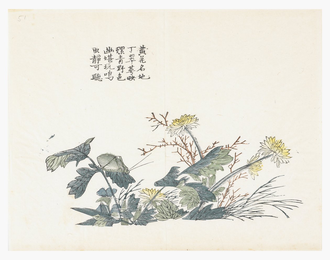 芥菜园 作者 中文学校