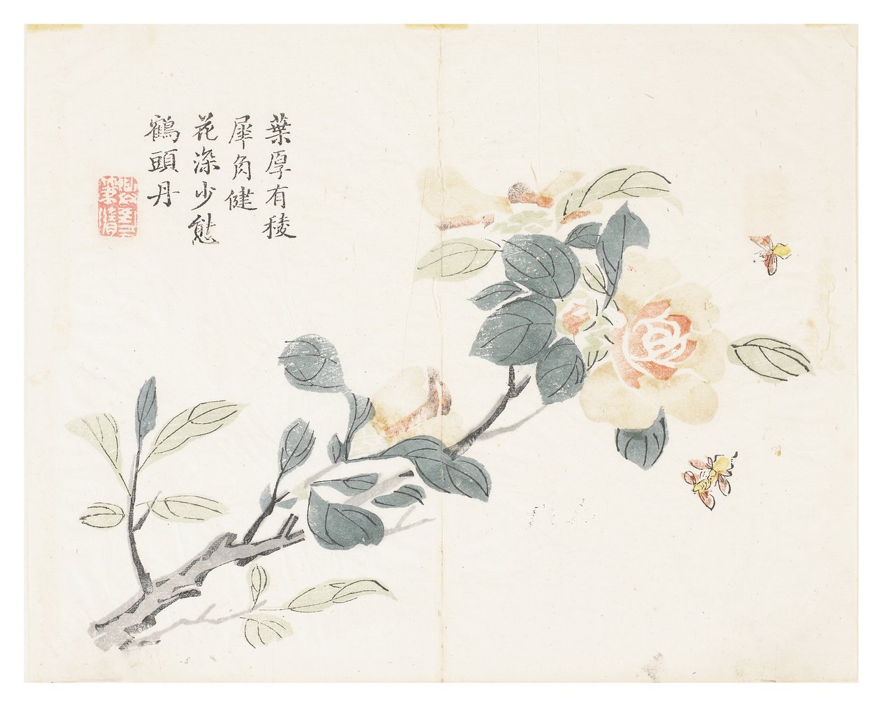 芥菜园 作者 中文学校
