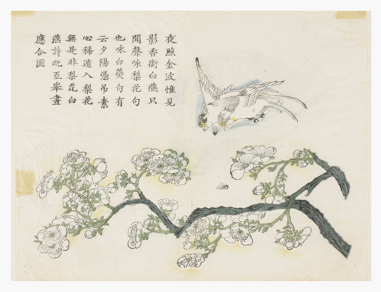 Mustard Seed Garden 作者 中文学校