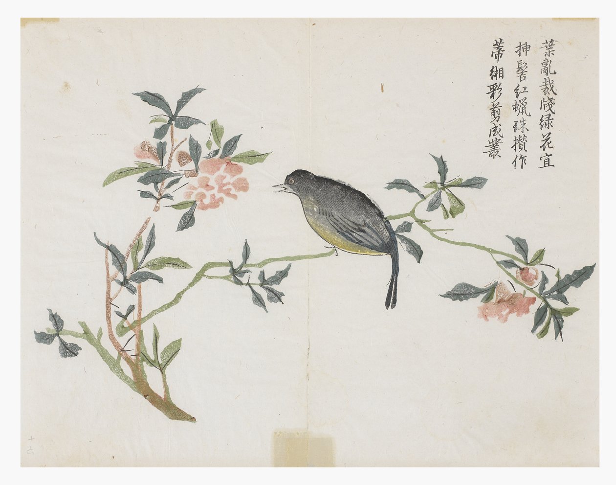 Mustard Seed Garden 作者 中文学校