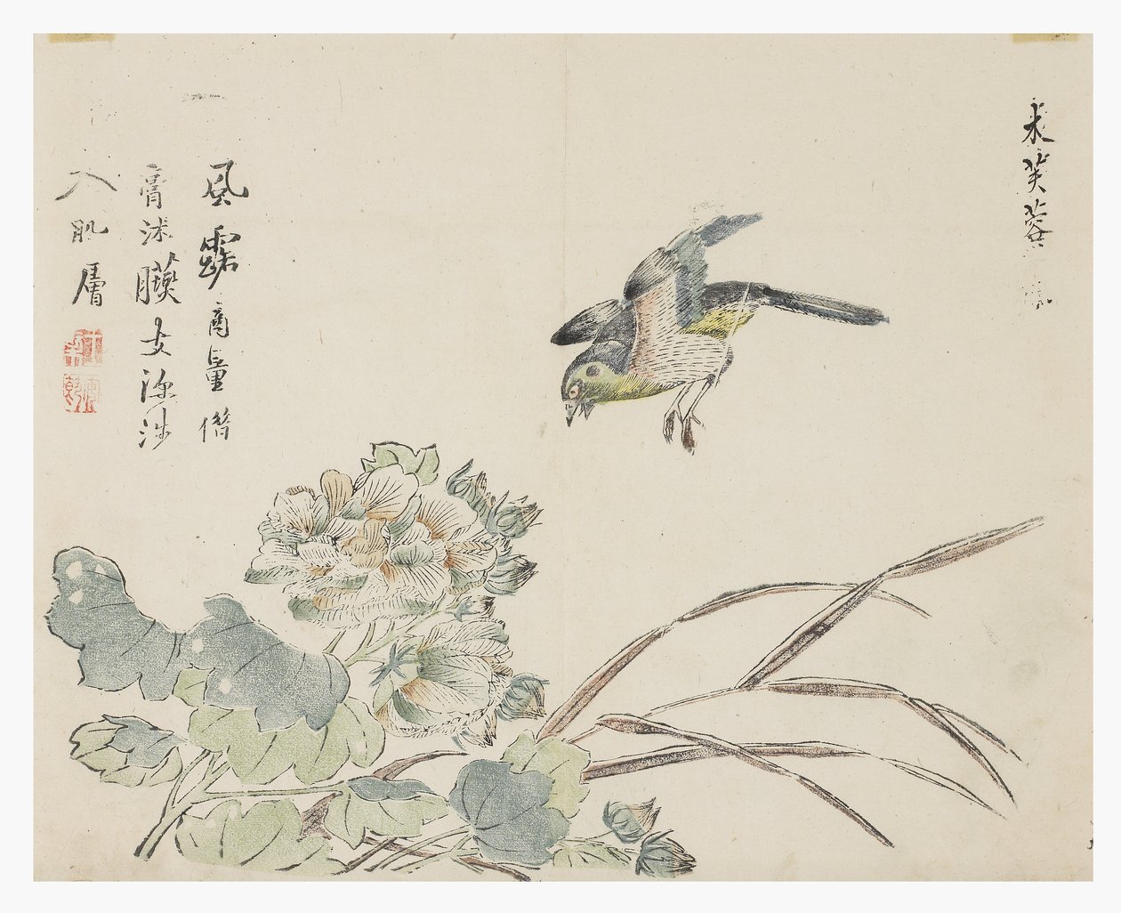 芥菜园 作者 中文学校