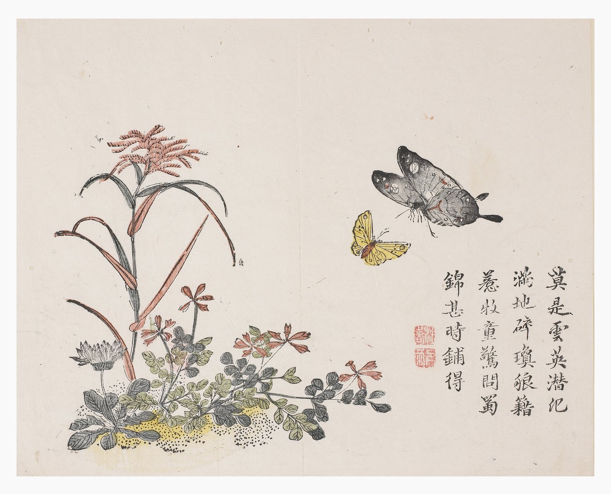 芥菜园 作者 中文学校