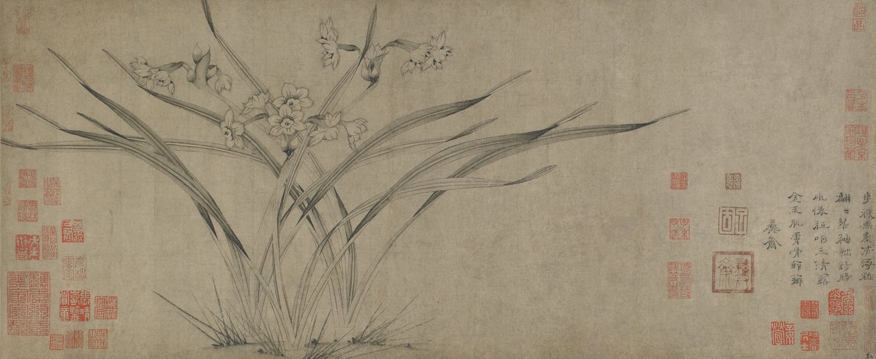 宋代水仙（纸上墨水） 作者 中文学校