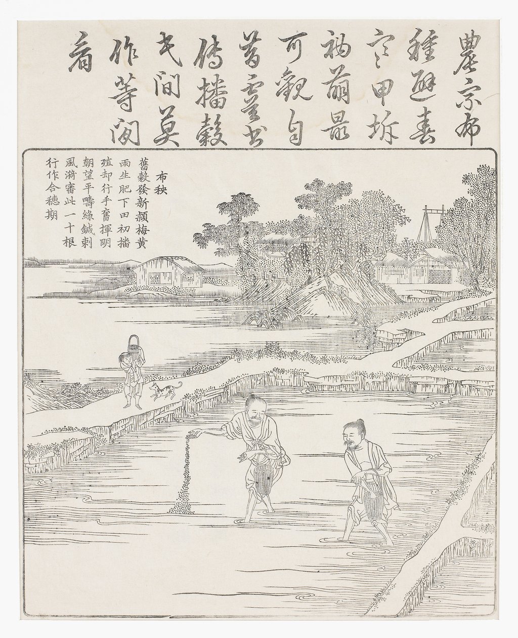 在18世纪的水稻种子床上播种 作者 中文学校