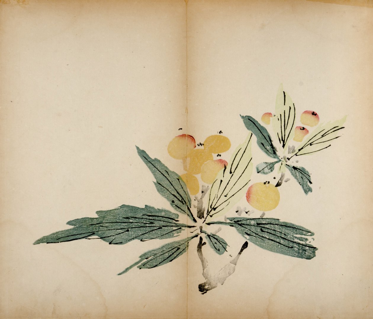 Ten Bamboo Studio Prints，1643（woodblock） 作者 中文学校