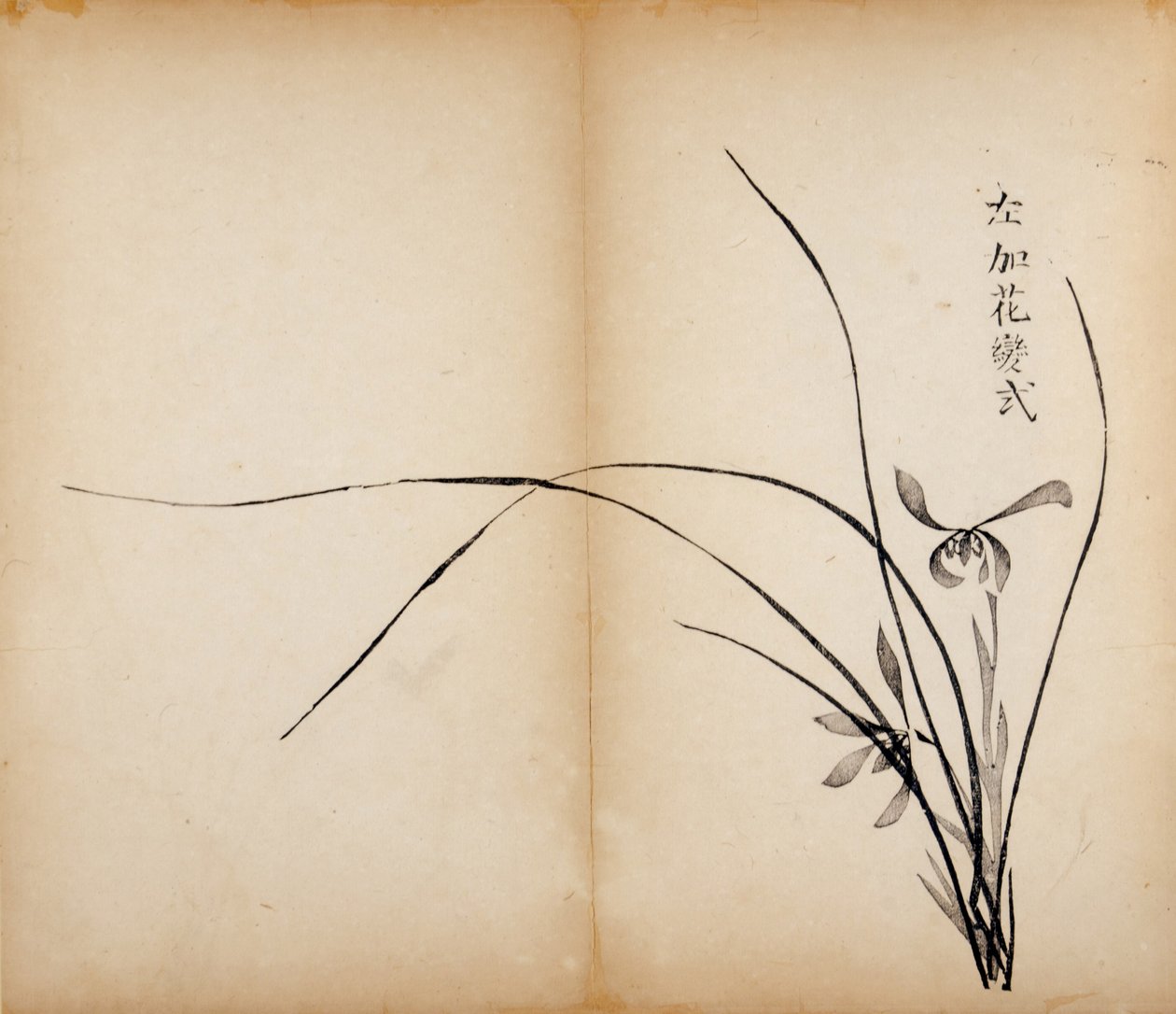 Ten Bamboo Studio Prints，1643（woodblock） 作者 中文学校