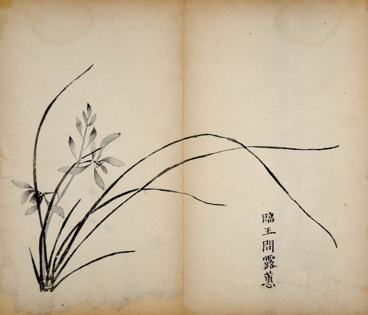 Ten Bamboo Studio Prints，1643（woodblock） 作者 中文学校