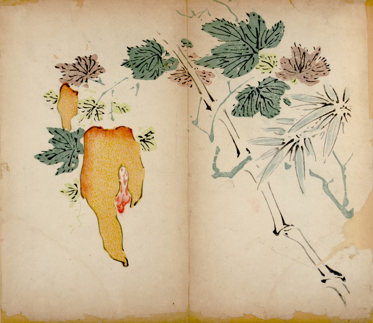 Ten Bamboo Studio Prints，1643（woodblock） 作者 中文学校
