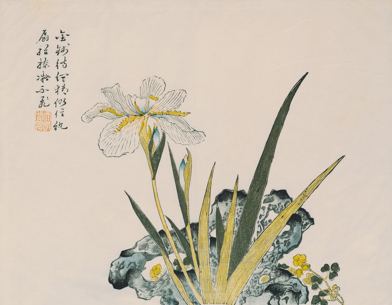 17至18世纪的花园如同芥菜一样大 作者 中文学校