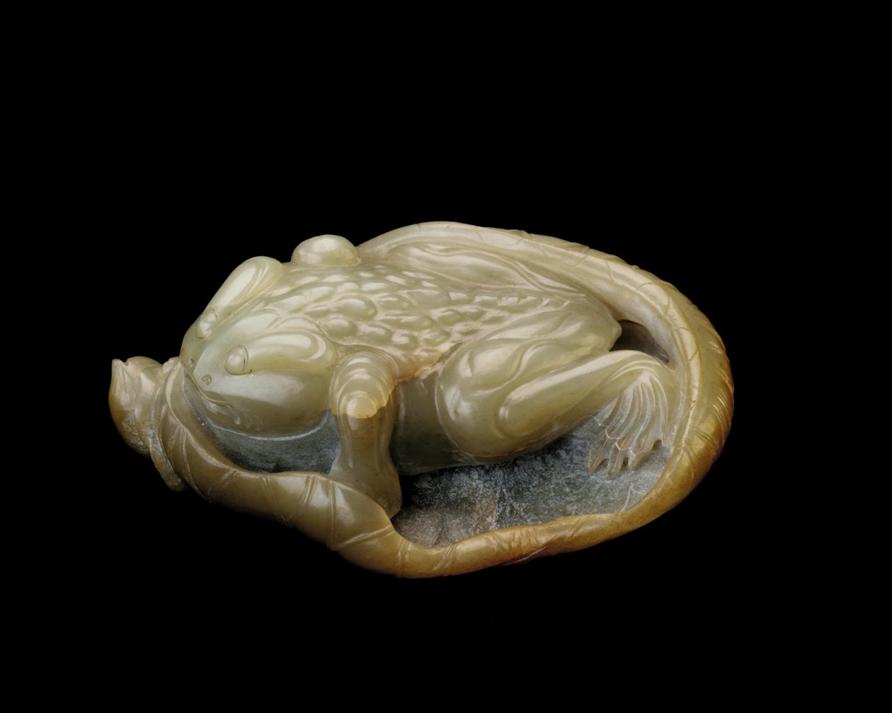 蟾蜍在荷叶上，1500至1700年 作者 中文学校