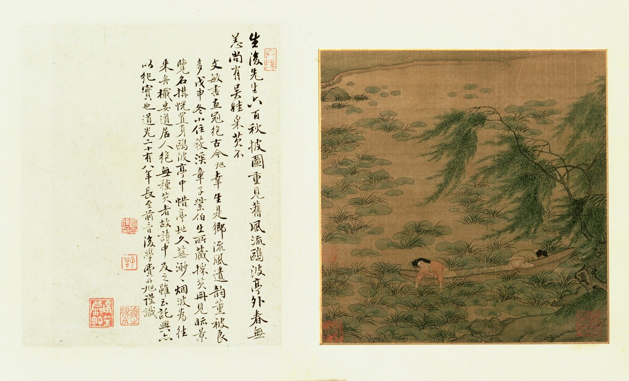 两个女孩从一条船上收集菱角 作者 中文学校