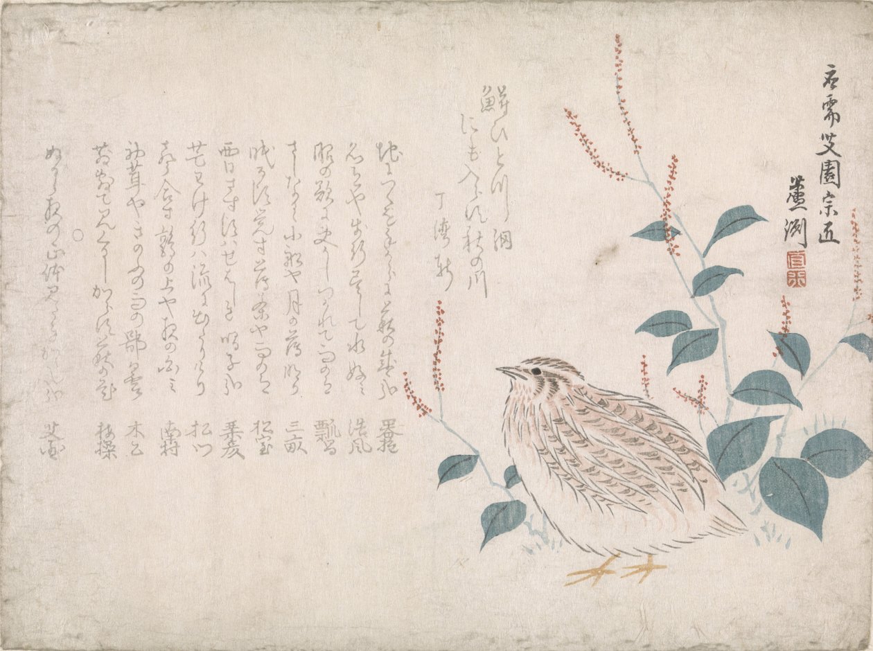 鹌鹑 作者 Chokko Roshu