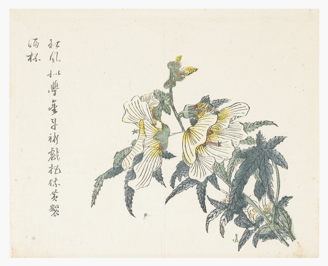 芥菜籽园 作者 仇黄（后）